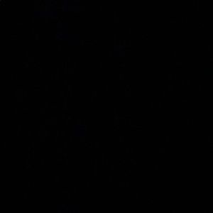 Meet your Posher, Erick